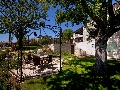 In the garden