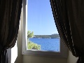 View from the window