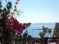 View from the garden