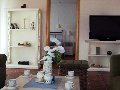 In the living room