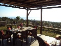On the terrace