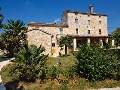 Villa Marta and the garden