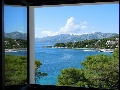 View from the window
