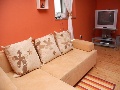 In the living room