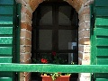 Window