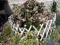 Detail in the garden