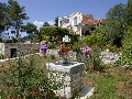 Big Mediterranean garden