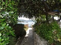 Through the Mediterranean garden to the sea