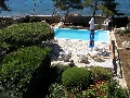 Garden and pool