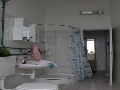 Toilet with shower