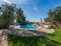 Pool in the garden