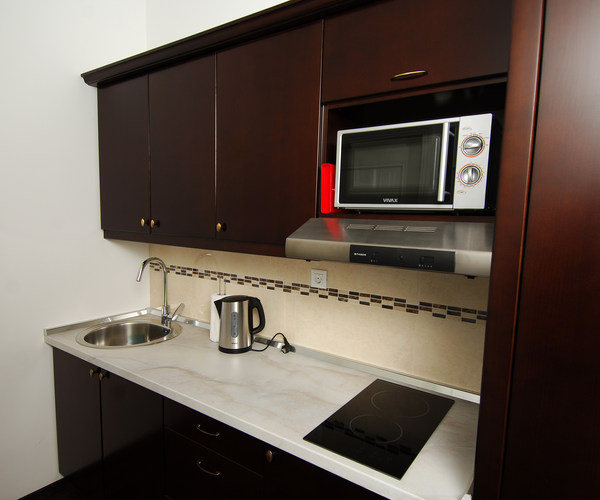 Classic studio apartment - kitchenette