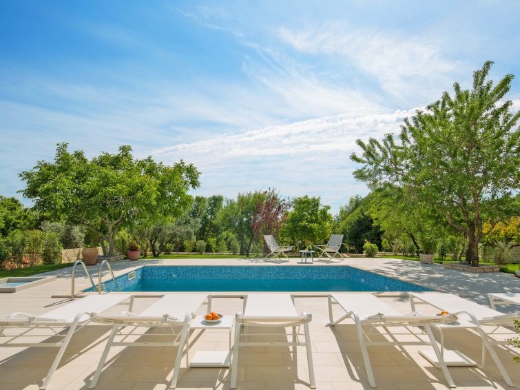 Sun lounges at the pool